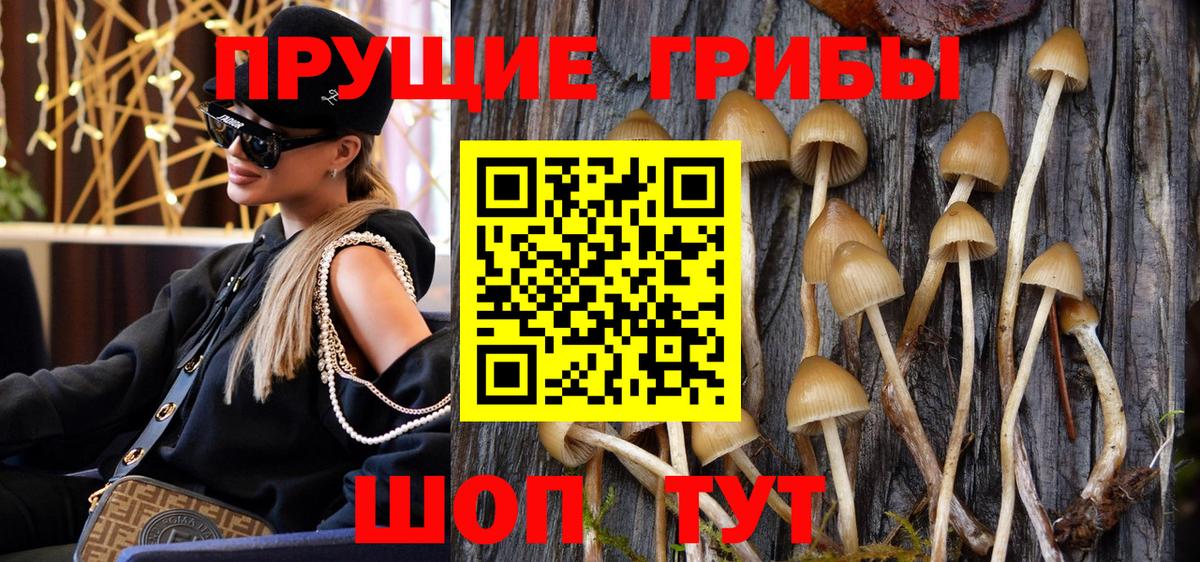 Галлюциногенные грибы прущие грибы Уссурийск